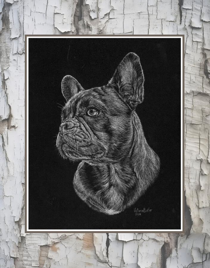 French bulldog scratch-art portrait