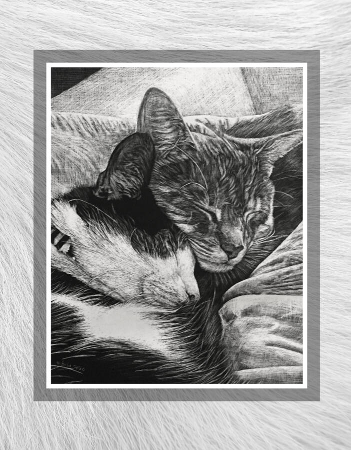 Two cats scratch-art portrait Two cats scratch-art portrait
