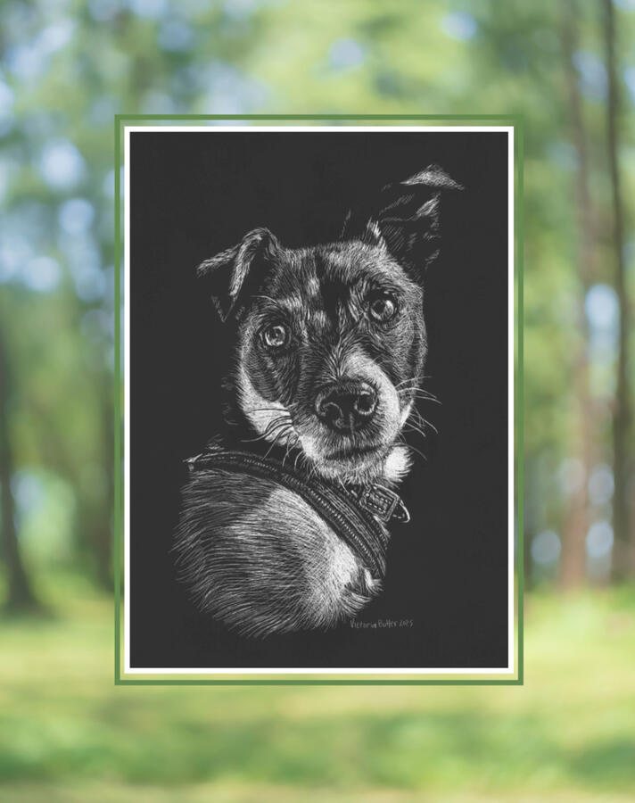 Small dog scratch-art portrait with green border