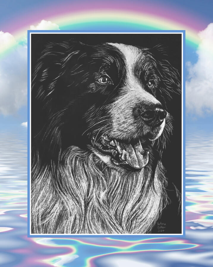 Long-haired dog scratch-art portrait Long-haired dog scratch-art portrait